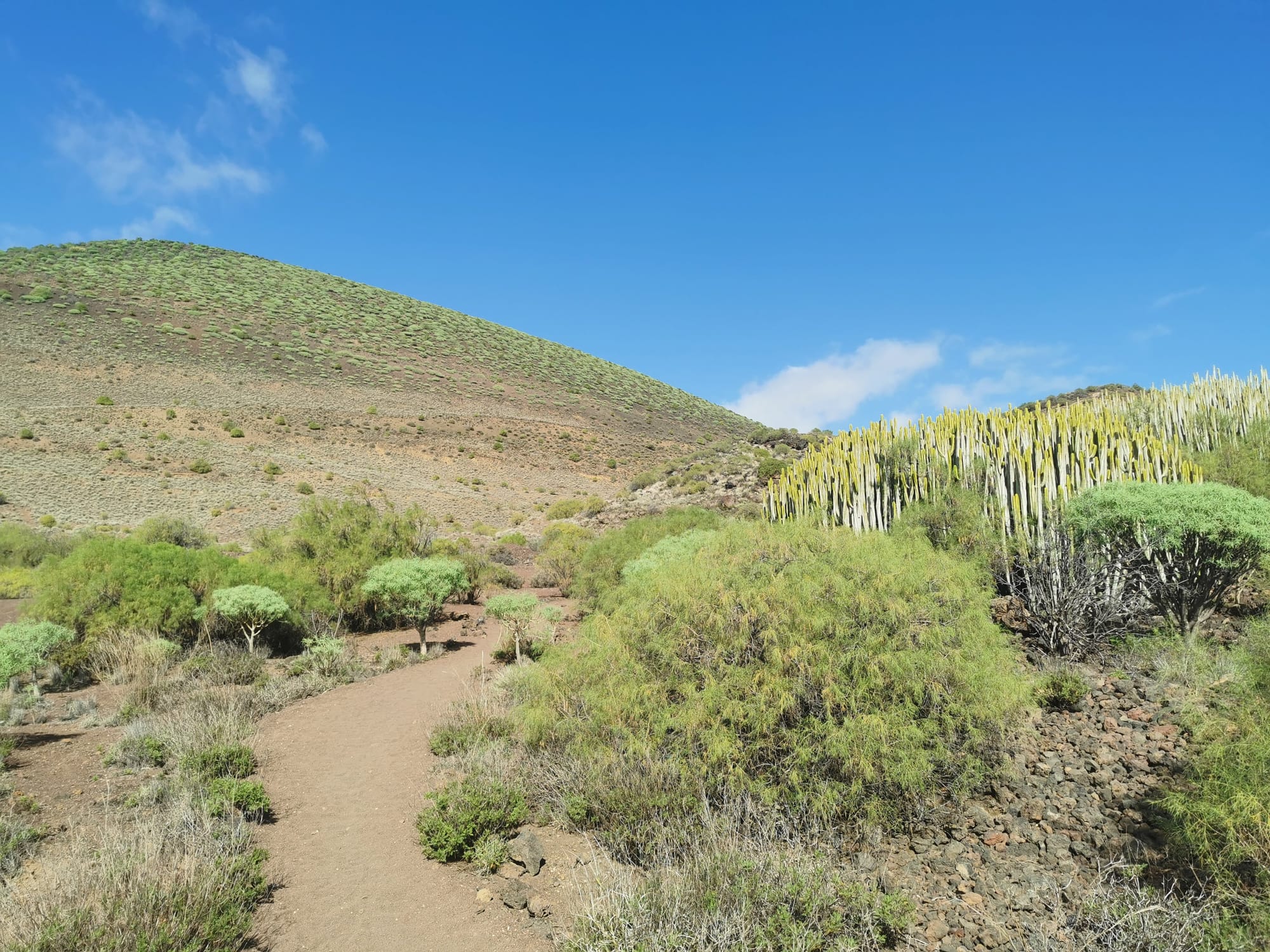 Teneriffa: Ein Leitfaden für die 11 schönsten Wanderungen