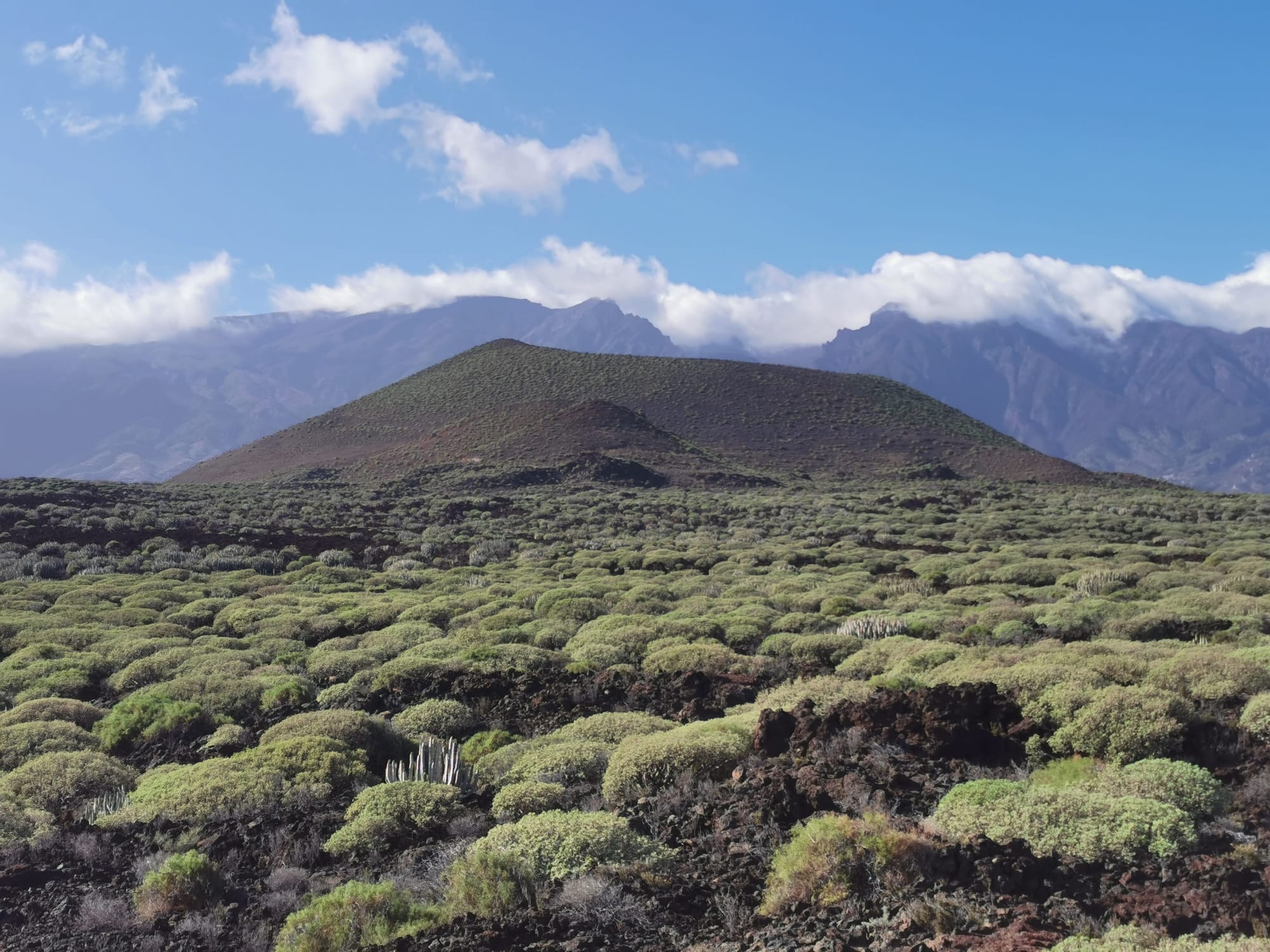 Teneriffa: Ein Leitfaden für die 11 schönsten Wanderungen