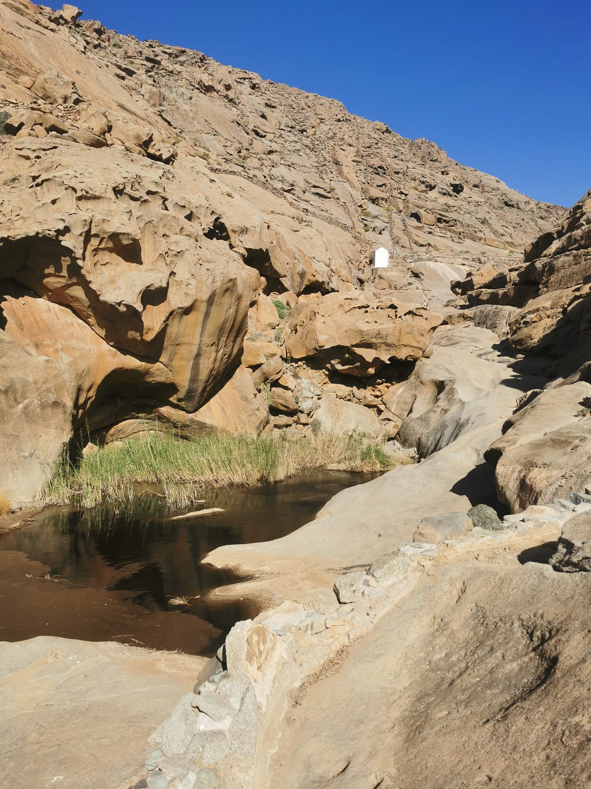 Fuerteventura: Wandern auf der Insel des Windes