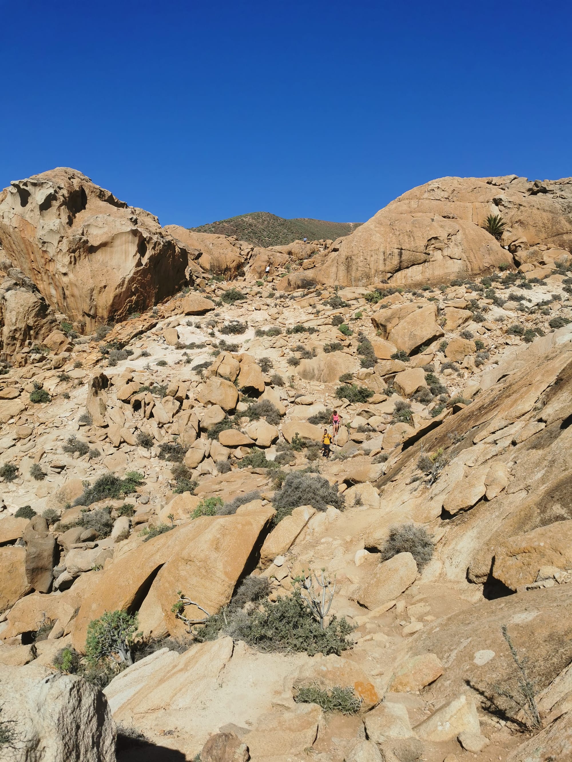 Fuerteventura: Wandern auf der Insel des Windes