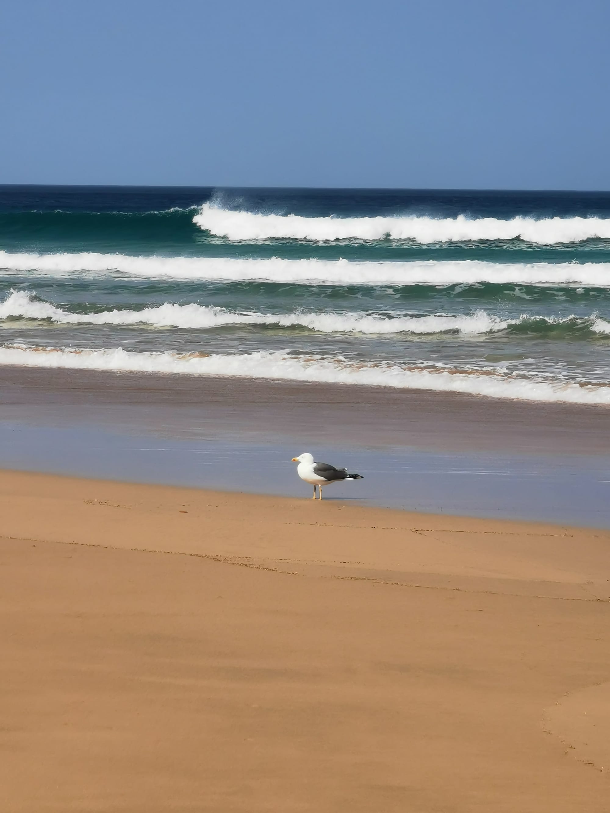 Fuerteventura: Wandern auf der Insel des Windes