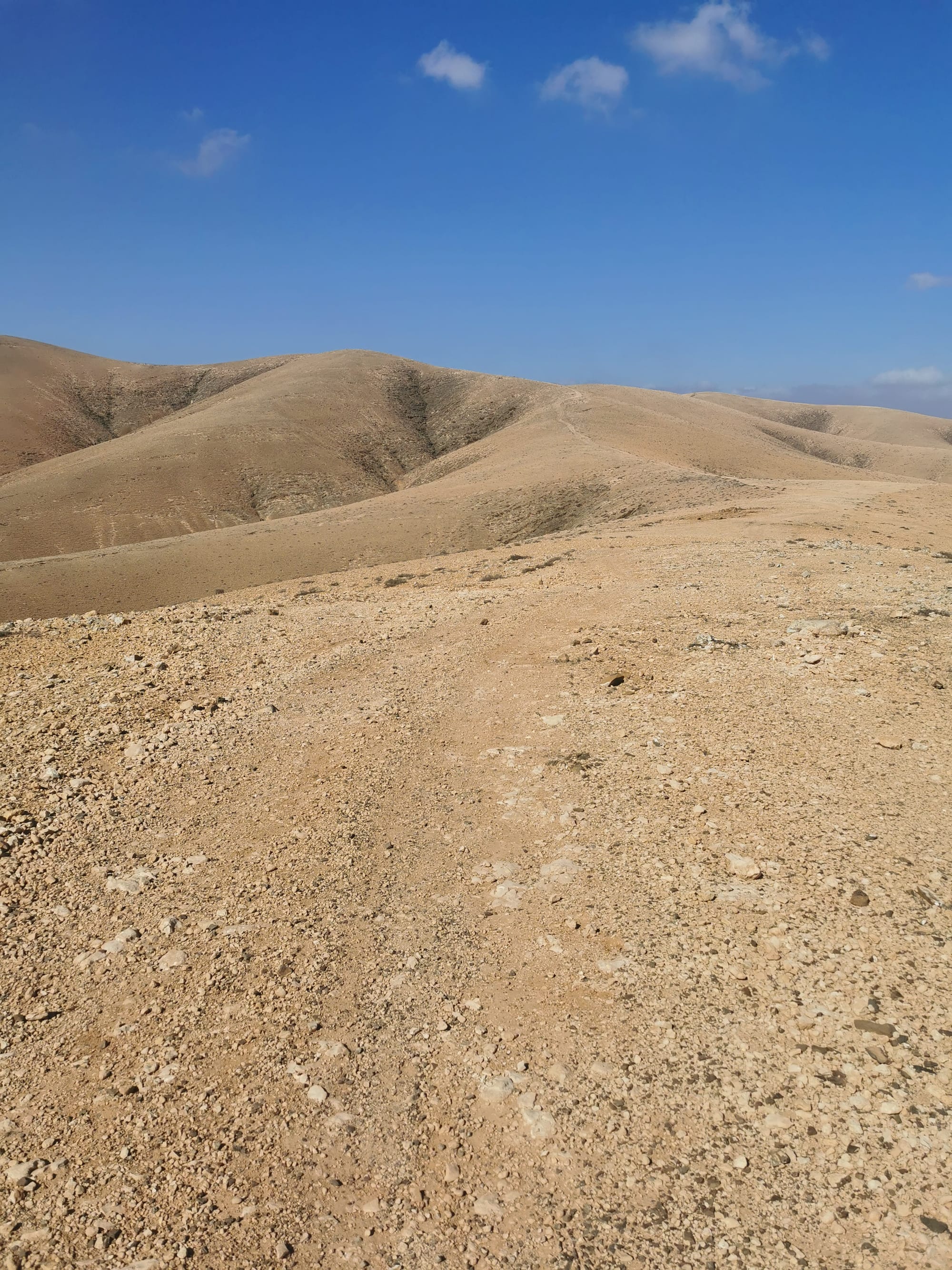 Fuerteventura: Wandern auf der Insel des Windes