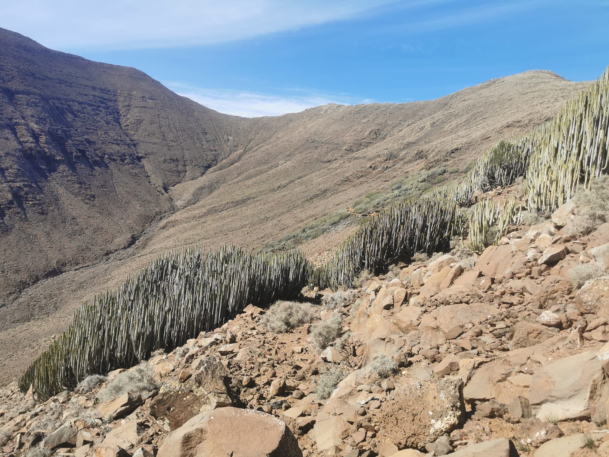 Fuerteventura: Wandern auf der Insel des Windes