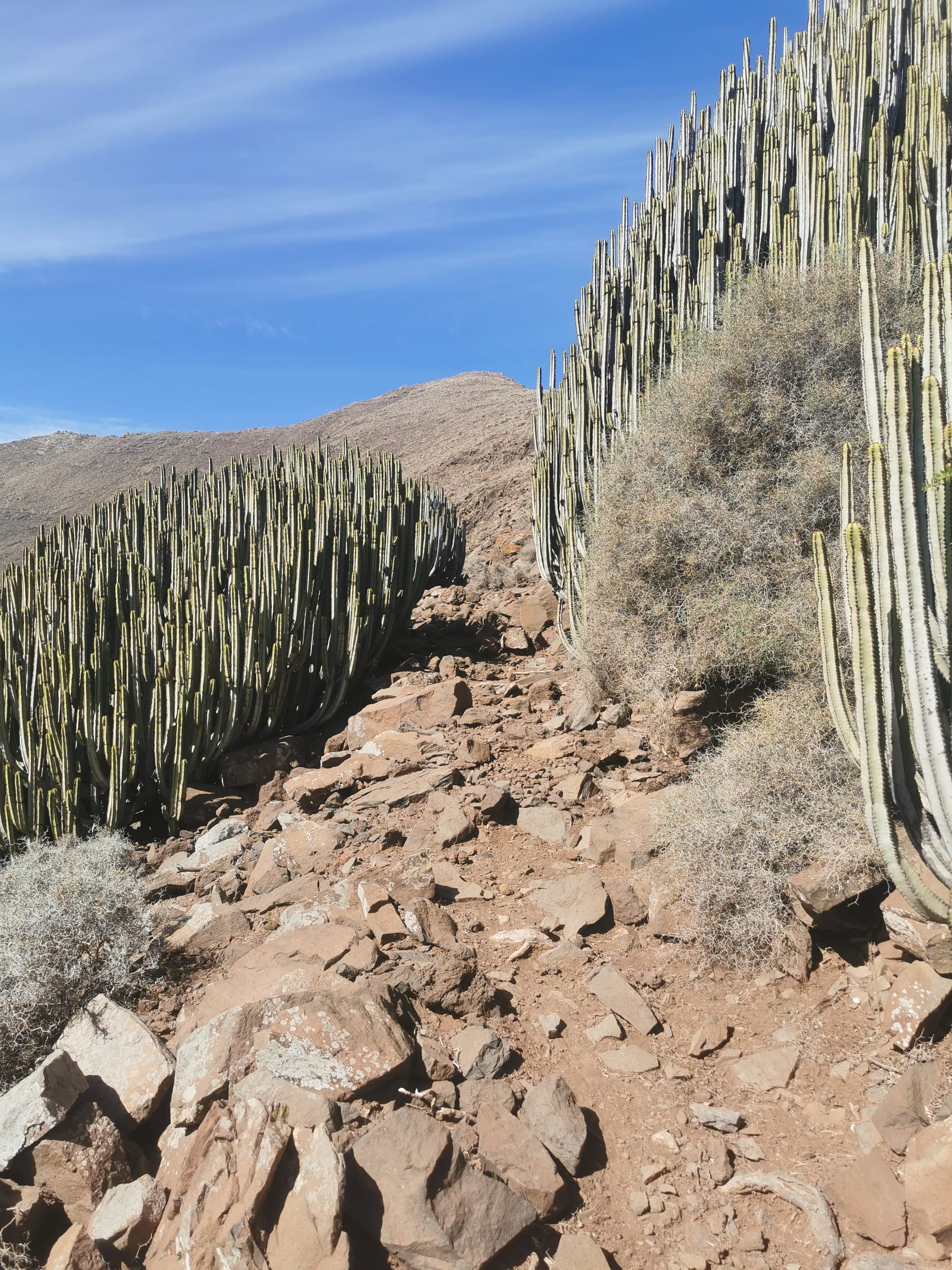 Fuerteventura: Wandern auf der Insel des Windes