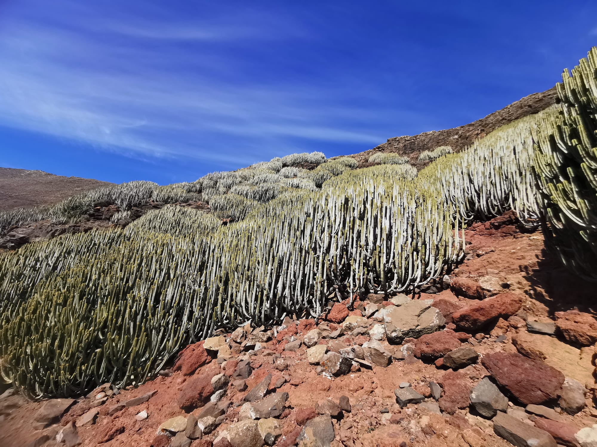 Fuerteventura: Wandern auf der Insel des Windes