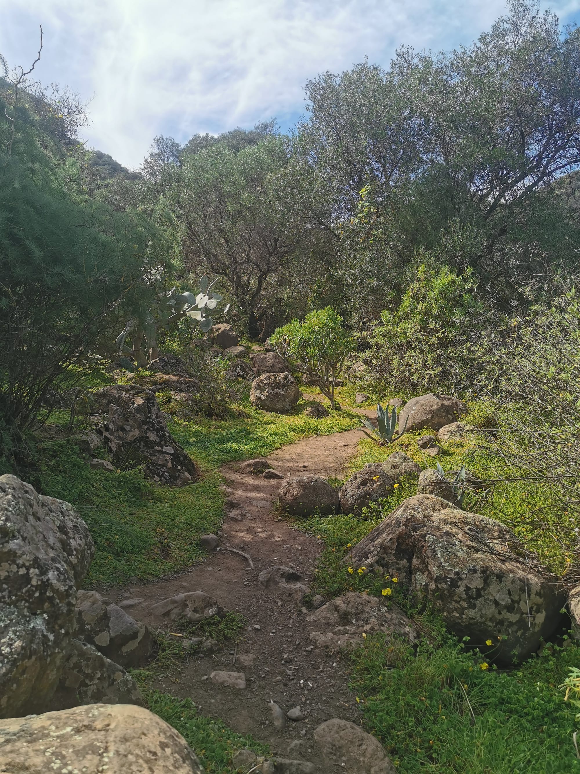 Wandern auf Gran Canaria: 6 traumhafte Wanderungen