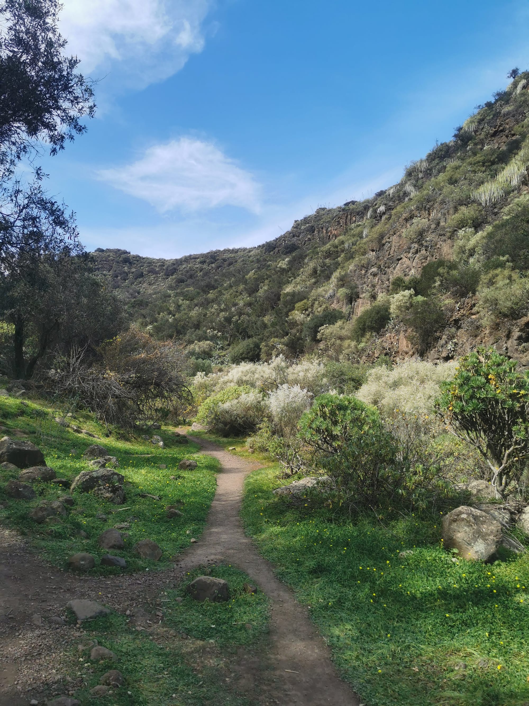 Wandern auf Gran Canaria: 6 traumhafte Wanderungen