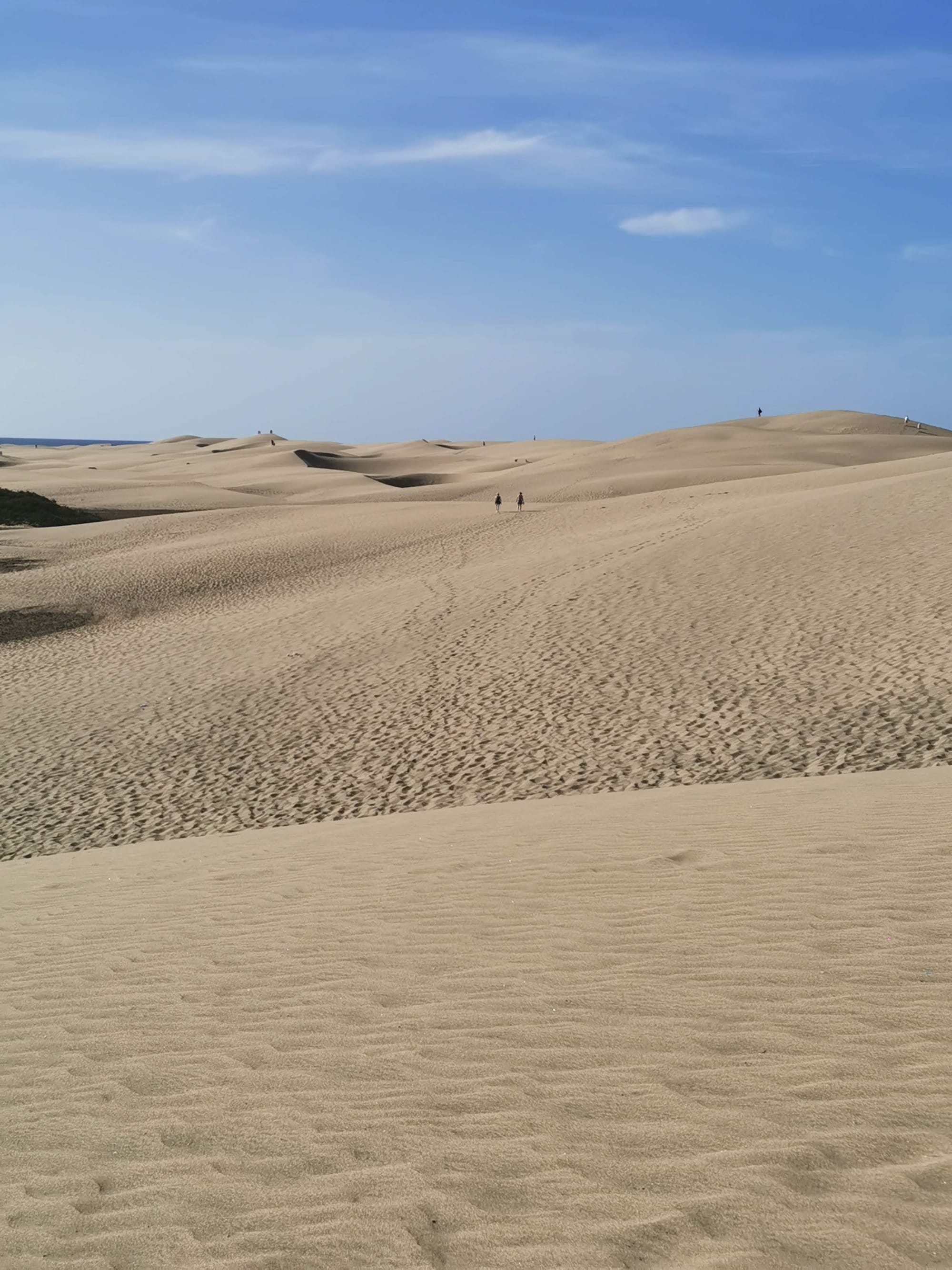 Wandern auf Gran Canaria: 6 traumhafte Wanderungen