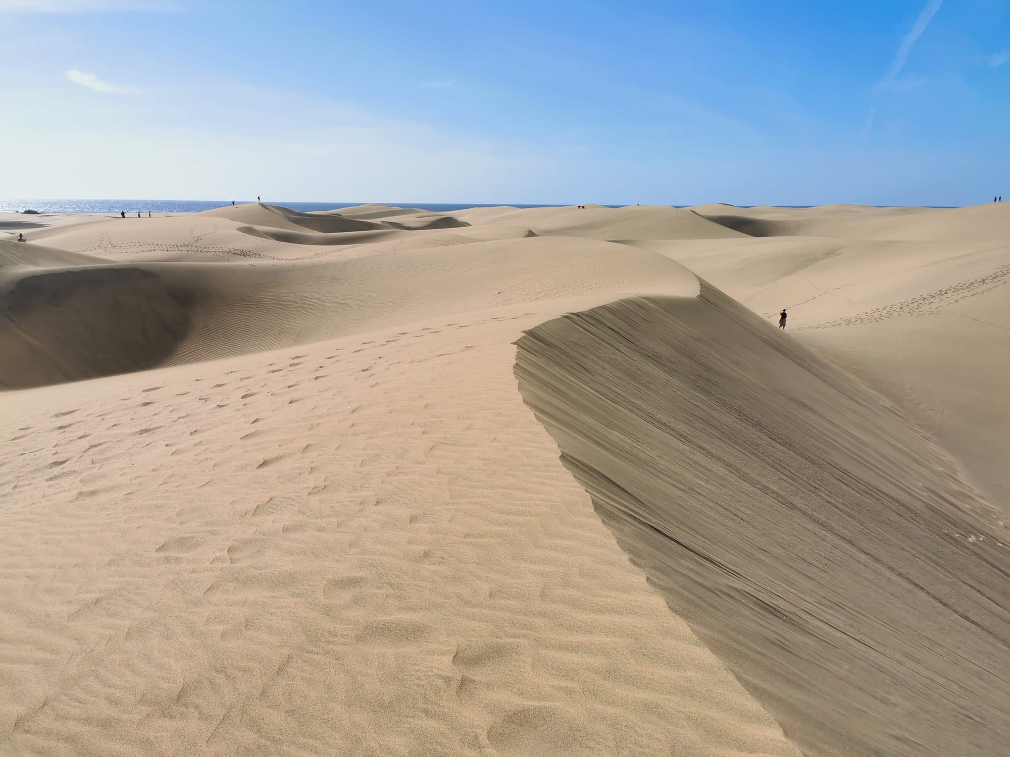 Wandern auf Gran Canaria: 6 traumhafte Wanderungen