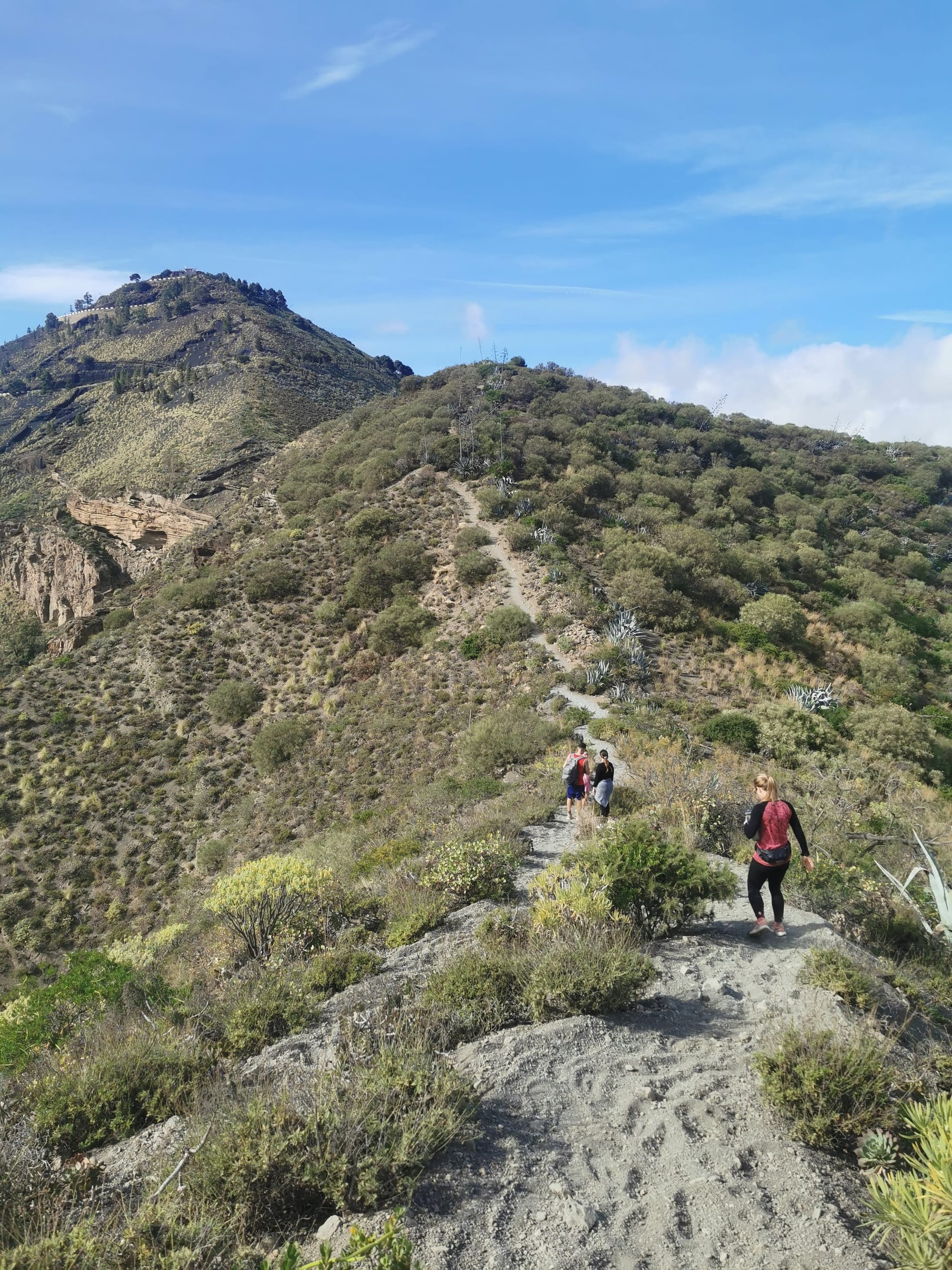 Wandern auf Gran Canaria: 6 traumhafte Wanderungen