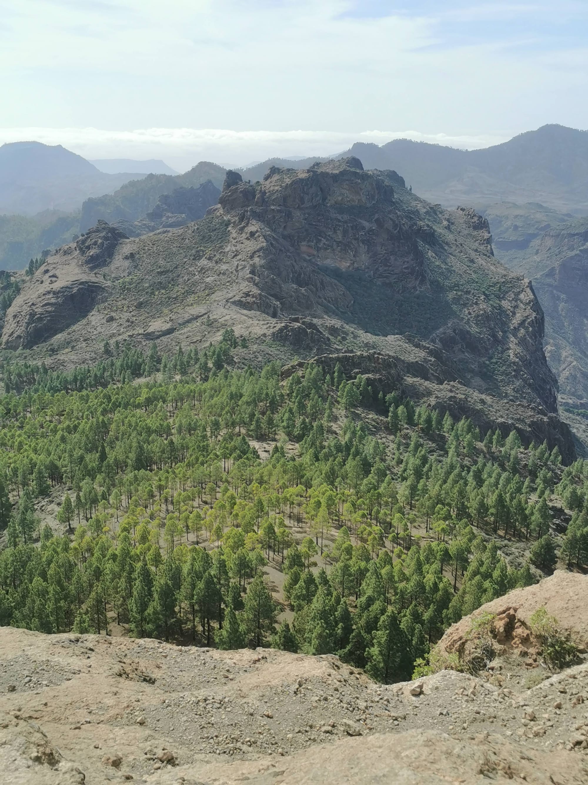 Wandern auf Gran Canaria: 6 traumhafte Wanderungen