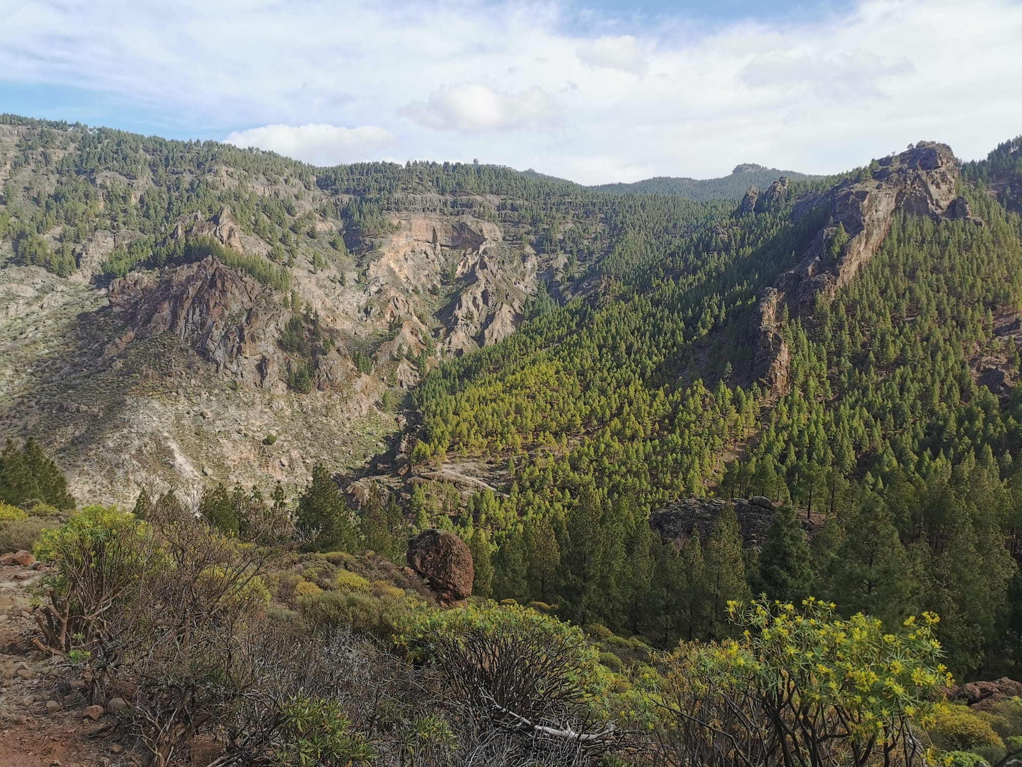 Wandern auf Gran Canaria: 6 traumhafte Wanderungen