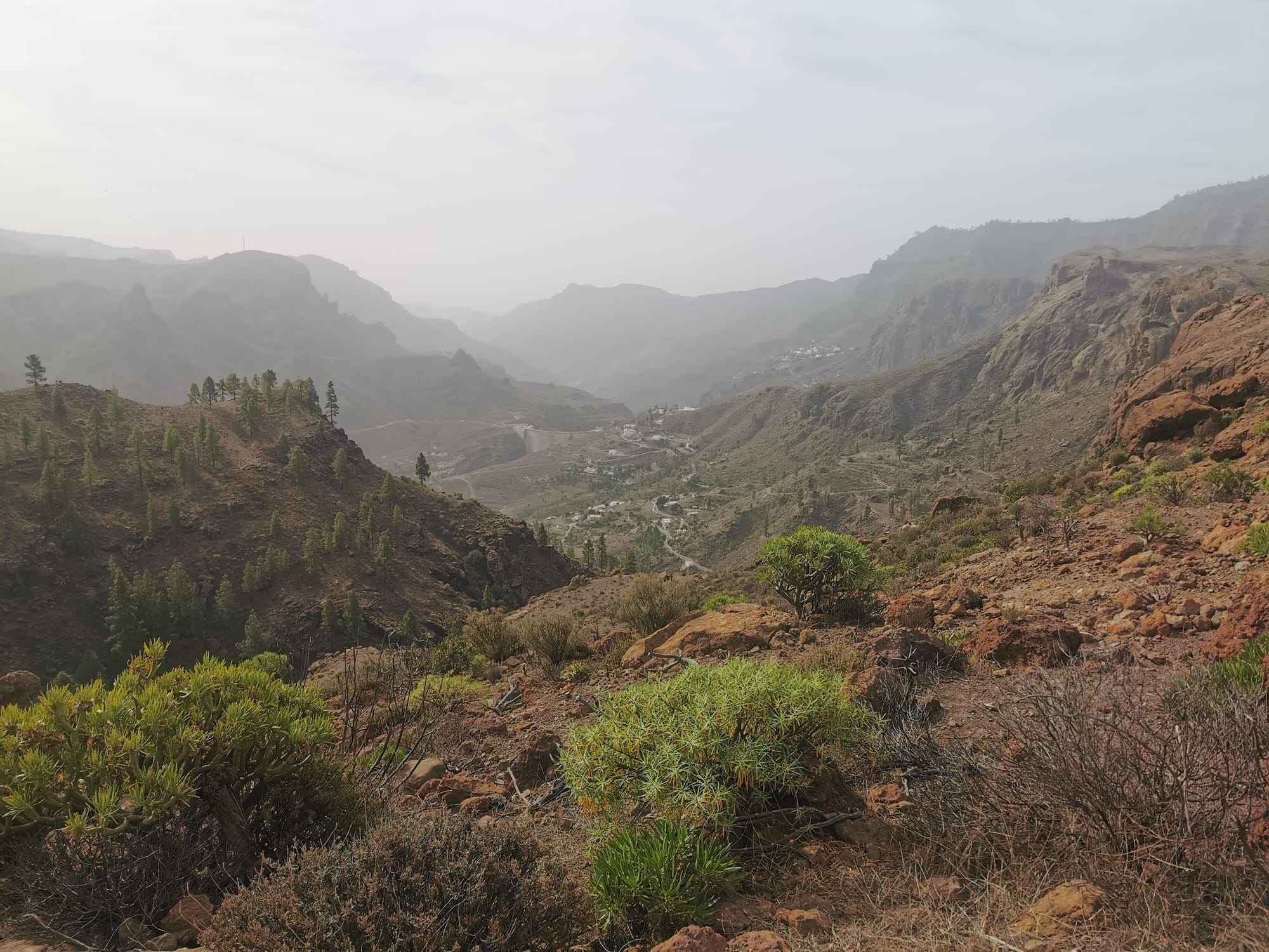 Wandern auf Gran Canaria: 6 traumhafte Wanderungen