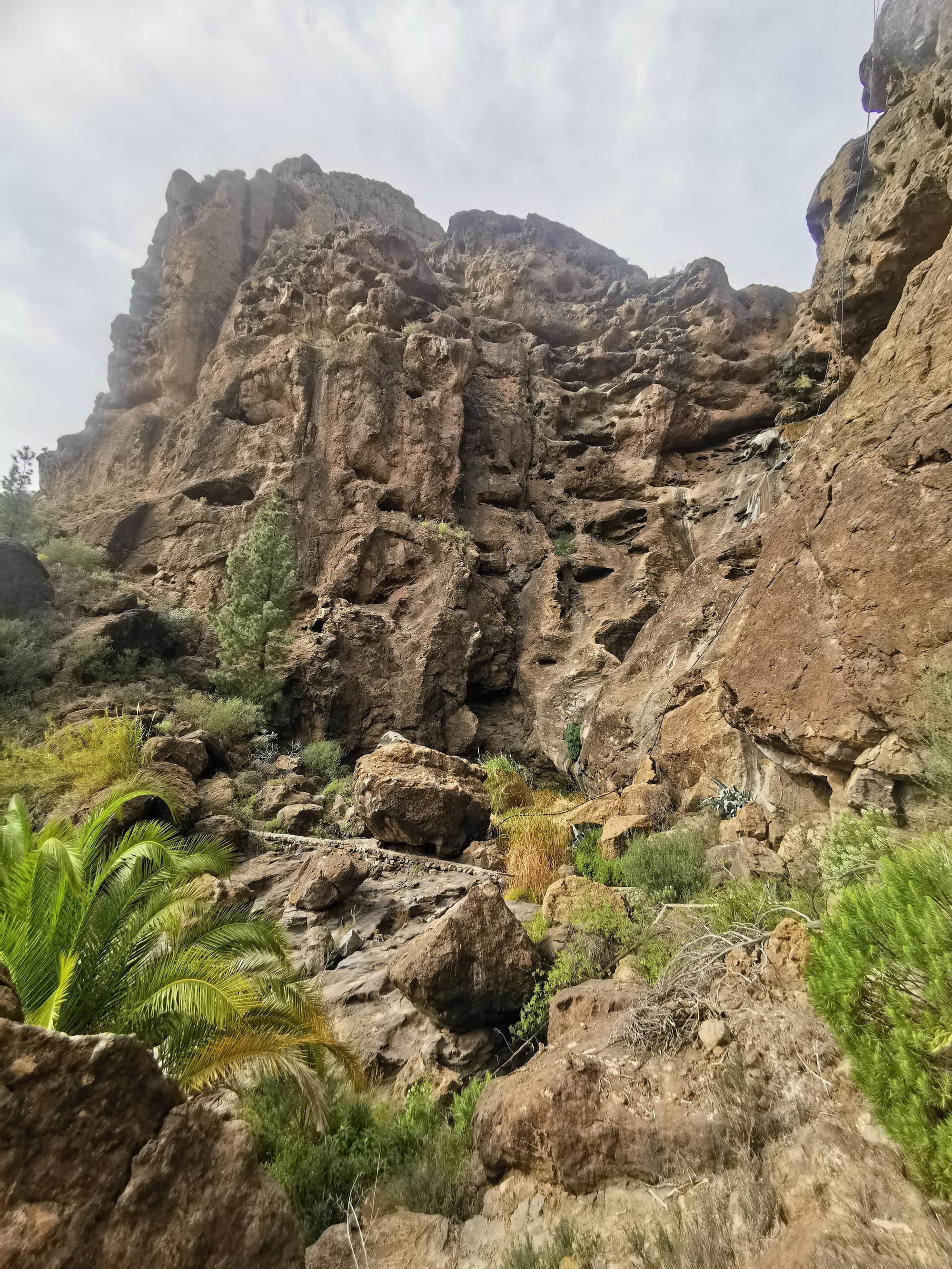 Wandern auf Gran Canaria: 6 traumhafte Wanderungen