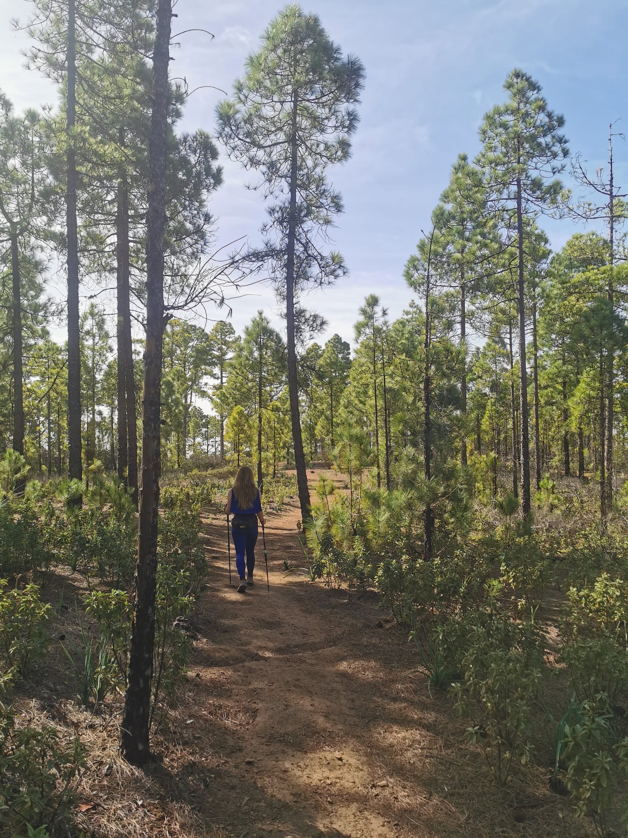 Wandern auf Gran Canaria: 6 traumhafte Wanderungen