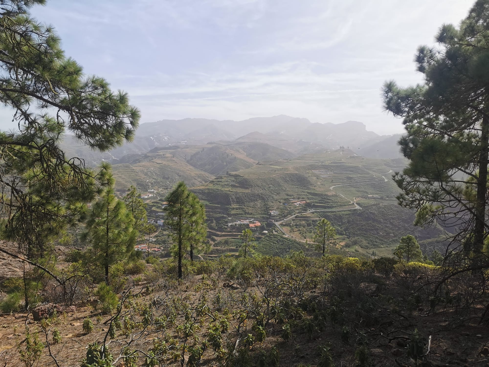 Wandern auf Gran Canaria: 6 traumhafte Wanderungen