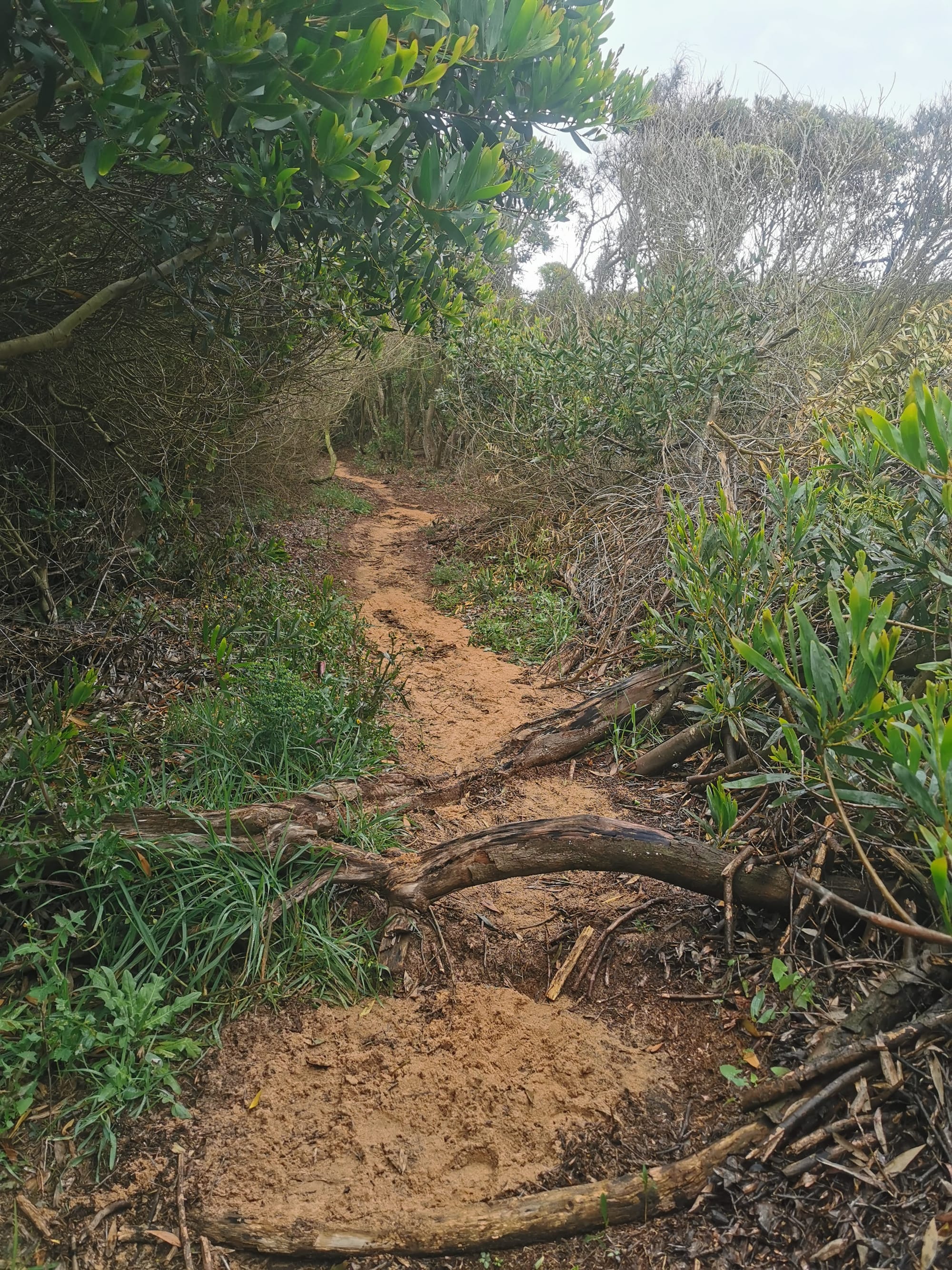 Der Fischerweg in Portugal: Fernwandern an der Atlantikküste