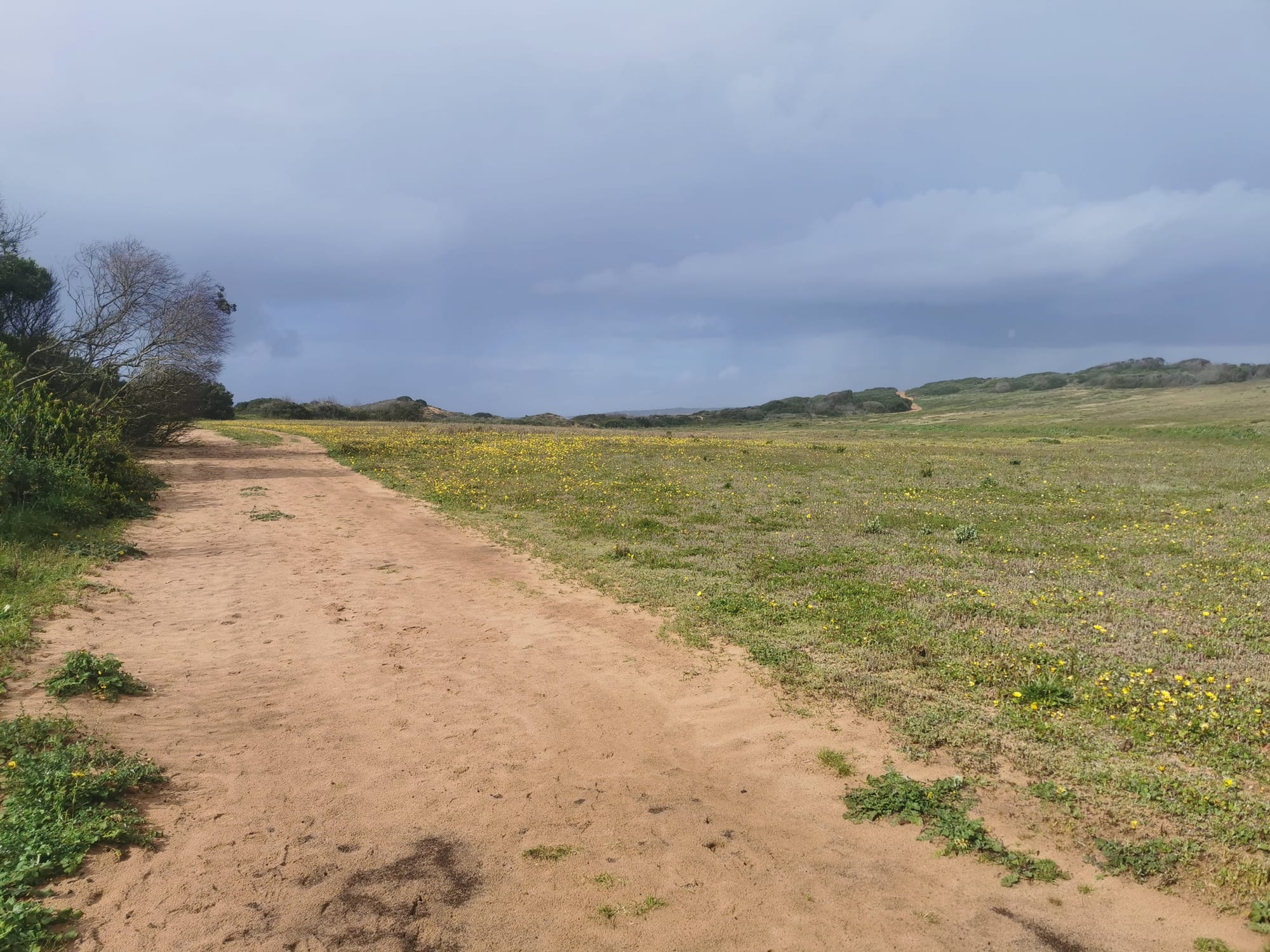 Der Fischerweg in Portugal: Fernwandern an der Atlantikküste