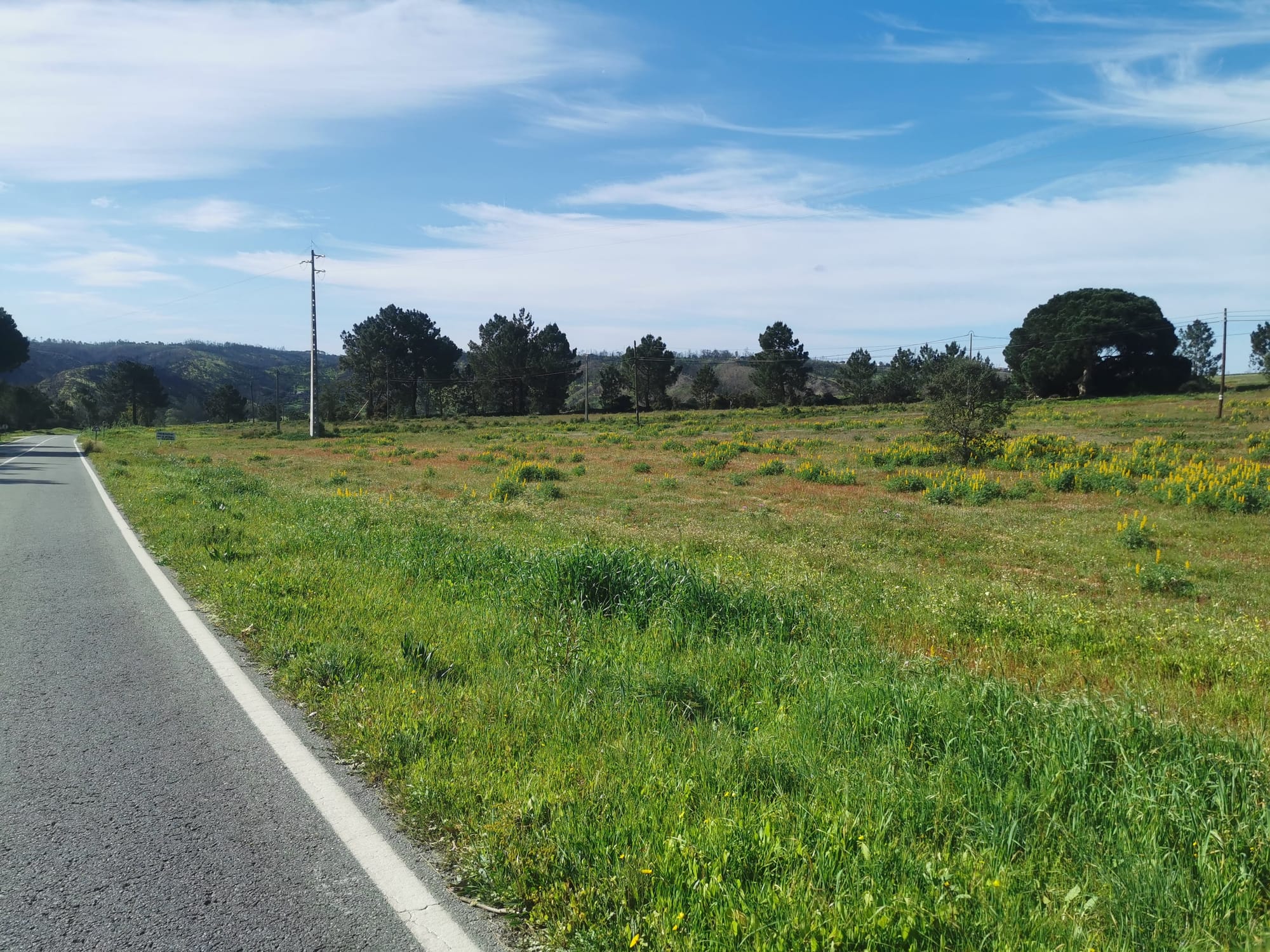 Der Fischerweg in Portugal: Fernwandern an der Atlantikküste