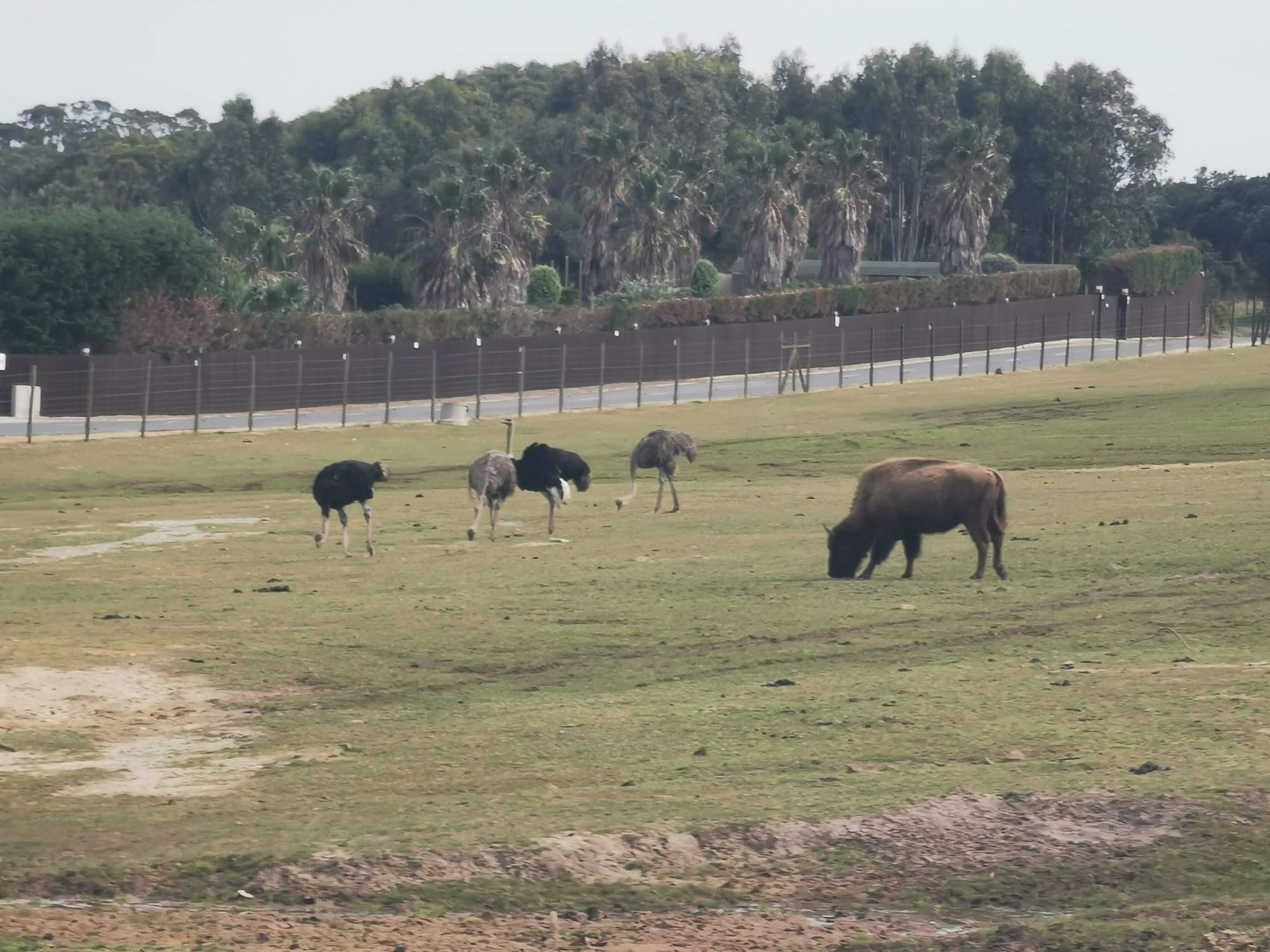 Der Fischerweg in Portugal: Fernwandern an der Atlantikküste