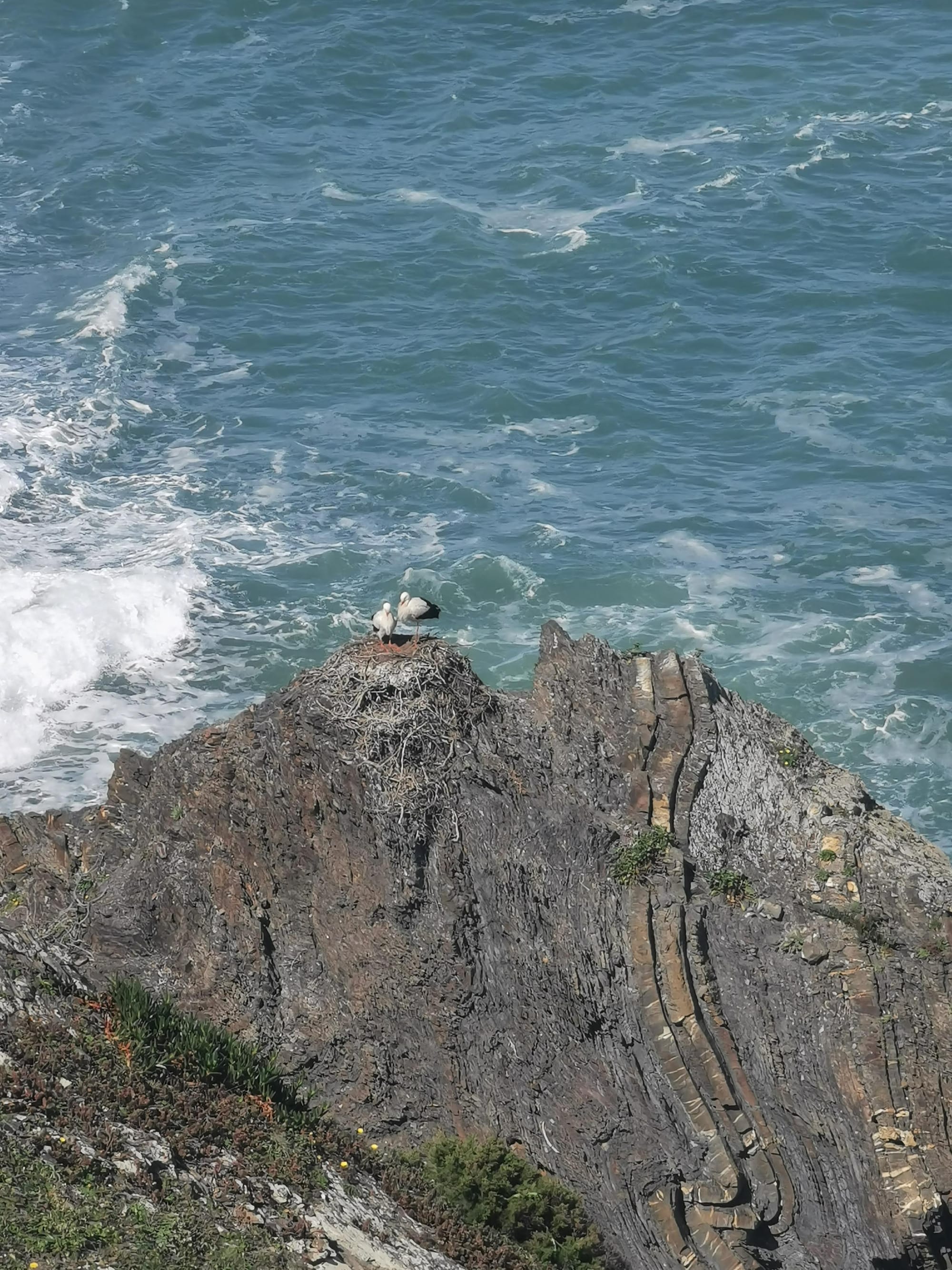 Der Fischerweg in Portugal: Fernwandern an der Atlantikküste