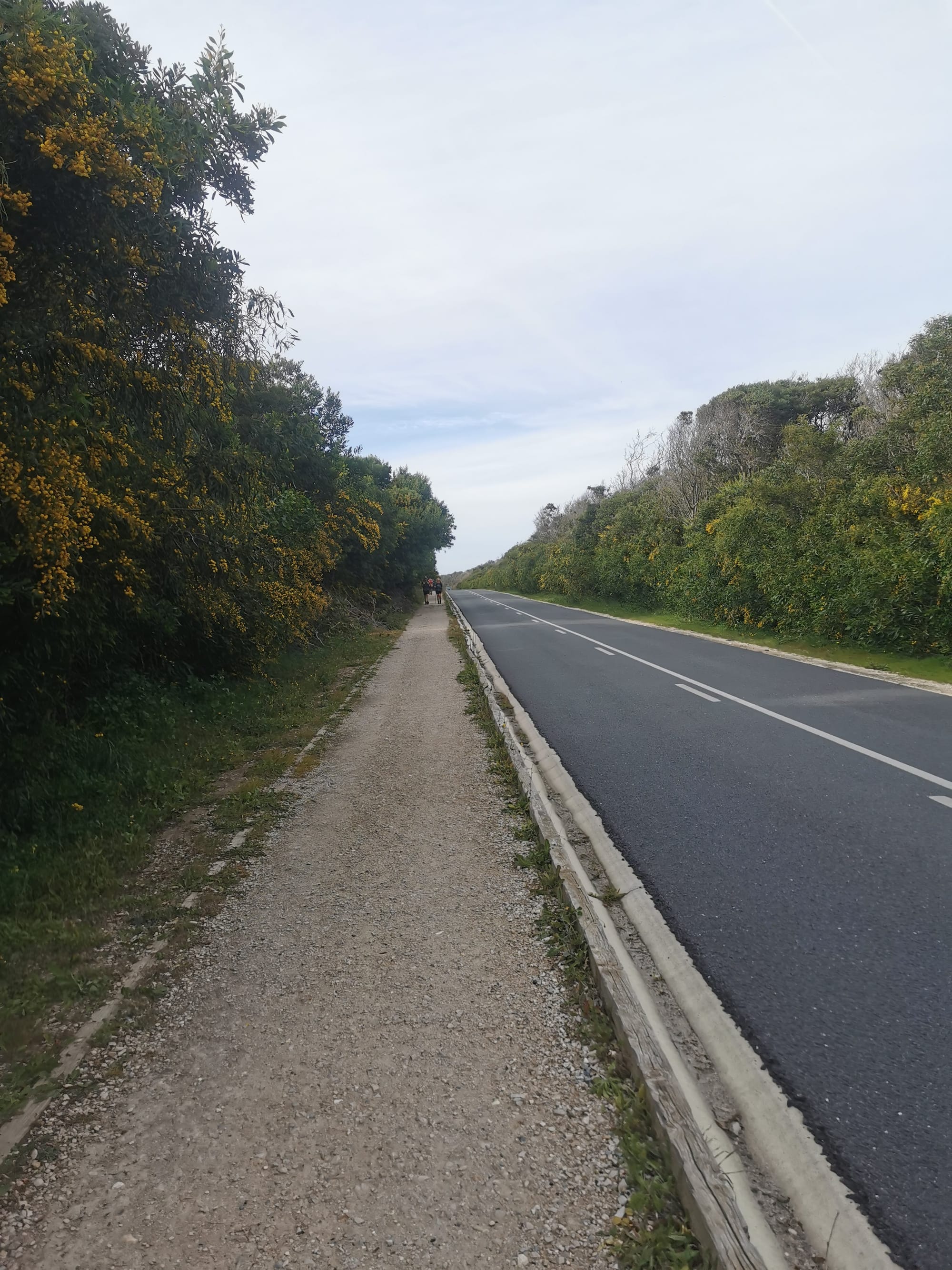 Der Fischerweg in Portugal: Fernwandern an der Atlantikküste