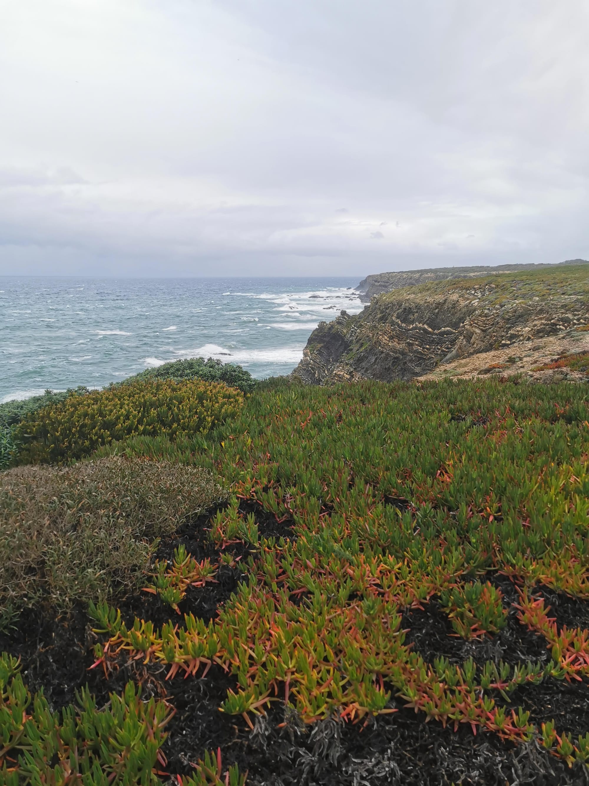 Der Fischerweg in Portugal: Fernwandern an der Atlantikküste