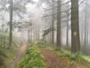 Der Rennsteig: Wandern auf dem ältesten Fernwanderweg Deutschlands