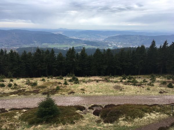 Der Rennsteig Wandern auf dem ältesten Fernwanderweg Deutschlands